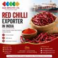 Red Chilli Exporter In India | Bulk Indian Red Chilli Supplier