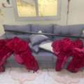 SAR 50,  Curtains - 2 Nos