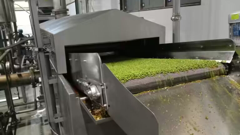 Greater Noida, Industrial Machinery, Advanced Peanuts Tasty Frying Line For Crispy Snack Production