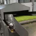 Advanced Peanuts Tasty Frying Line For Crispy Snack Production
