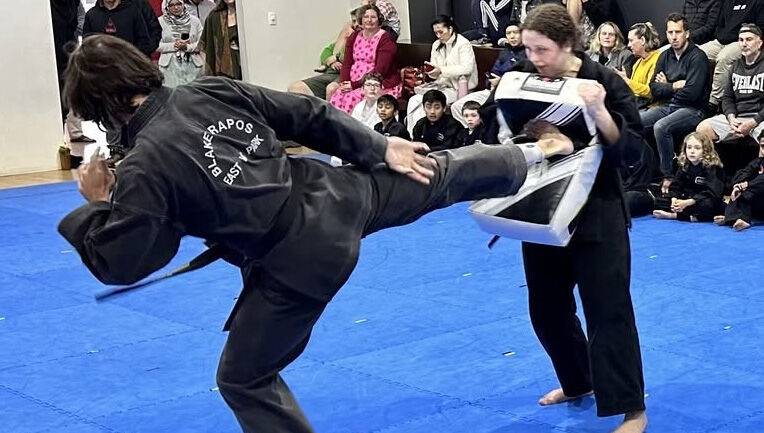 Perth, Lessons Offered, Find The Best Adult Martial Arts Classes With AMAF Australia
