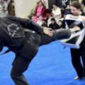 Find The Best Adult Martial Arts Classes With AMAF Australia