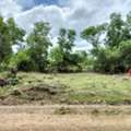THB 650000,  6 BR,  100 Sq. Feet,  Land For Sale, Khlong Hok West 53, Already Filled, Beautiful Land And Very Cheap, Size