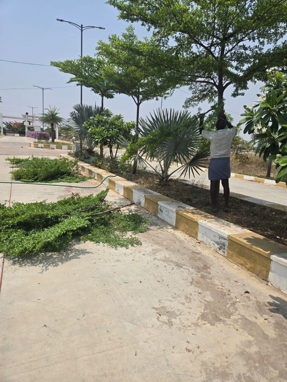 Hyderabad, Residential Plots, INR 24999,  450 Sq. Yard,  East-facing Plots For Sale In Ameerpet Thimmapur Near Bangalore Highway Contact-6305534817
