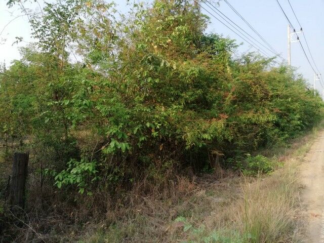 Bangkok, Real Estate For Sale, THB 250000,  6 BR,  14400 Sq. Feet,  Anyone Looking At What They Want Will Like This. Next To Highway 1107, Tak Province,