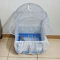 SAR 120,  Brand New Large Bird Cage For Sale With Cover