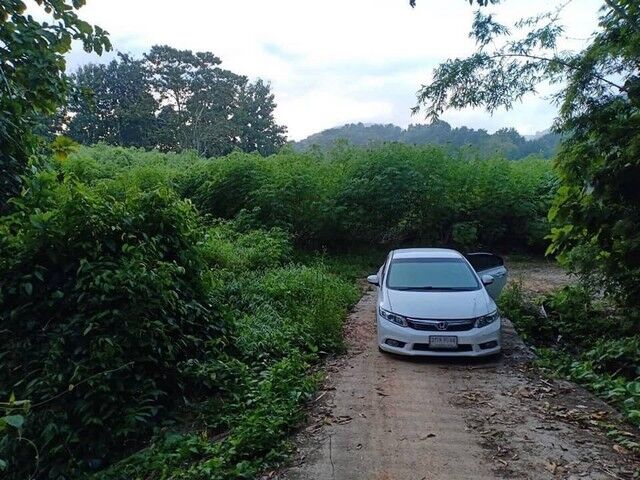 Bangkok, Real Estate For Sale, THB 500000,  6 BR,  1235 Sq. Feet,  Anyone Looking At What They Want Will Like This. Land Next To A Stream For Rent Next To