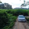 THB 500000,  6 BR,  1235 Sq. Feet,  Anyone Looking At What They Want Will Like This. Land Next To A Stream For Rent Next To