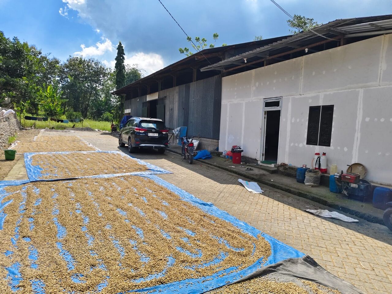 Sydney, Farm & Garden, AUD 1,  Indonesian Premium Coffee Beans, Malino - Sulawesi Selatan