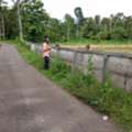 INR 250000,  40 Sq. Meter,  40 Cents Near Smartcity Kochi Karimugal