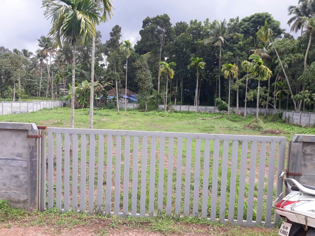 Kochi, Residential Plots, INR 250000,  40 Sq. Meter,  40 Cents Near Smartcity Kochi Karimugal