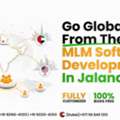 MLM Software Development Company In Jalandhar