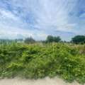 THB 4000000,  6 BR,  400 Sq. Feet,  Land, Bang Sao Thong Subdistrict, Bang Sao Thong District, Samut Prakan, Suitable For