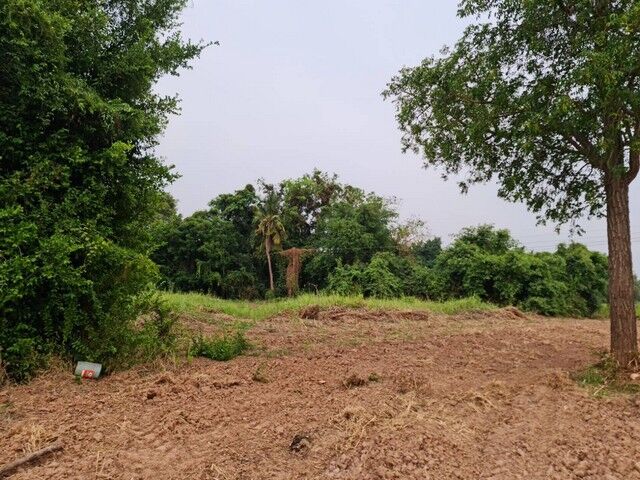 Bangkok, Real Estate For Sale, THB 150000,  6 BR,  803 Sq. Feet,  Anyone Looking At What They Want Will Like This. Land For Sale Next To The Nan River.