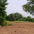 THB 150000,  6 BR,  803 Sq. Feet,  Anyone Looking At What They Want Will Like This. Land For Sale Next To The Nan River.