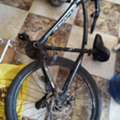 SAR 250,  Selling Cycle In SAR 250