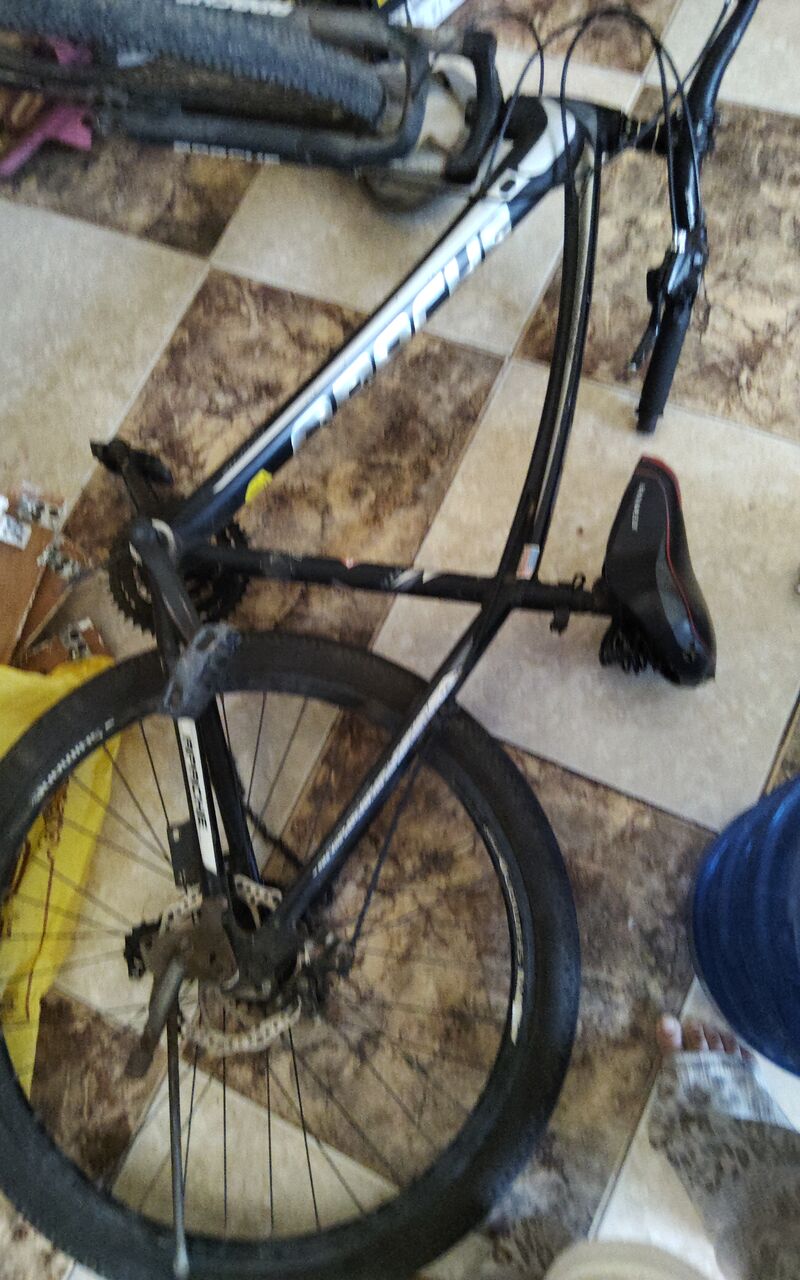 Yanbu, Bicycles, SAR 250,  Selling Cycle In SAR 250