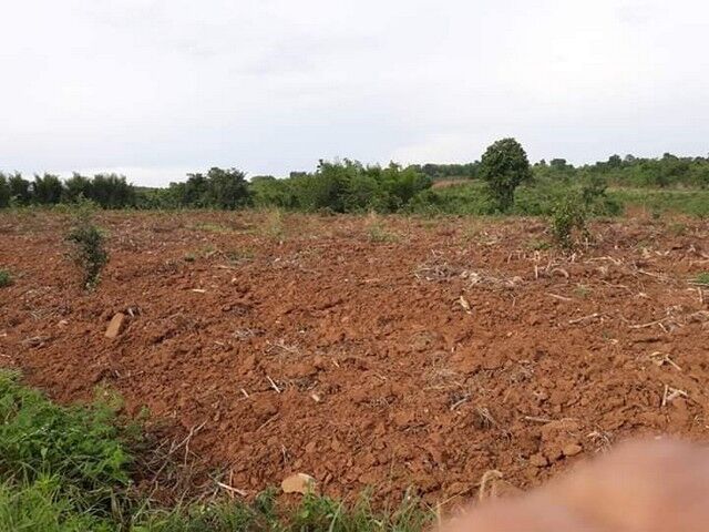 Bangkok, Real Estate For Sale, THB 160000,  6 BR,  41381 Sq. Feet,  Anyone Looking At What They Want Will Like This. Land Title Deed For Sale In Lom Kao,