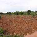 THB 160000,  6 BR,  41381 Sq. Feet,  Anyone Looking At What They Want Will Like This. Land Title Deed For Sale In Lom Kao,