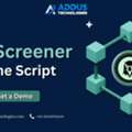 USD 5000,  Best DEX Screener Solutions For Building A Market-Focused Trading Platform