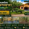 THB 10000000,  3 BR,  3571 Sq. Feet,  House With Rubber Plantation, Area Almost 9 Rai, Rayong Province.
