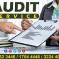 Audit Systems Support Services