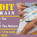 Audit Bahrain, Business Tax, Sales Tax, Individual Tax Return