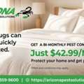 Arizona Bed Bug Exterminator - Arizona Pest Solutions