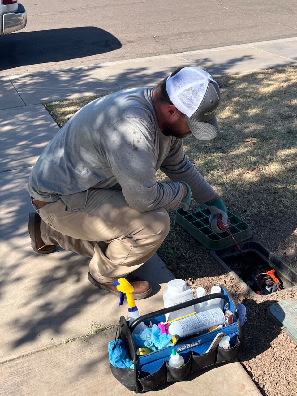 New York, Pest Control, Arizona Bed Bug Exterminator - Arizona Pest Solutions