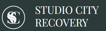 New York, Business, Studio City Recovery