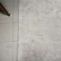 SAR 60,  Carpet For Sale