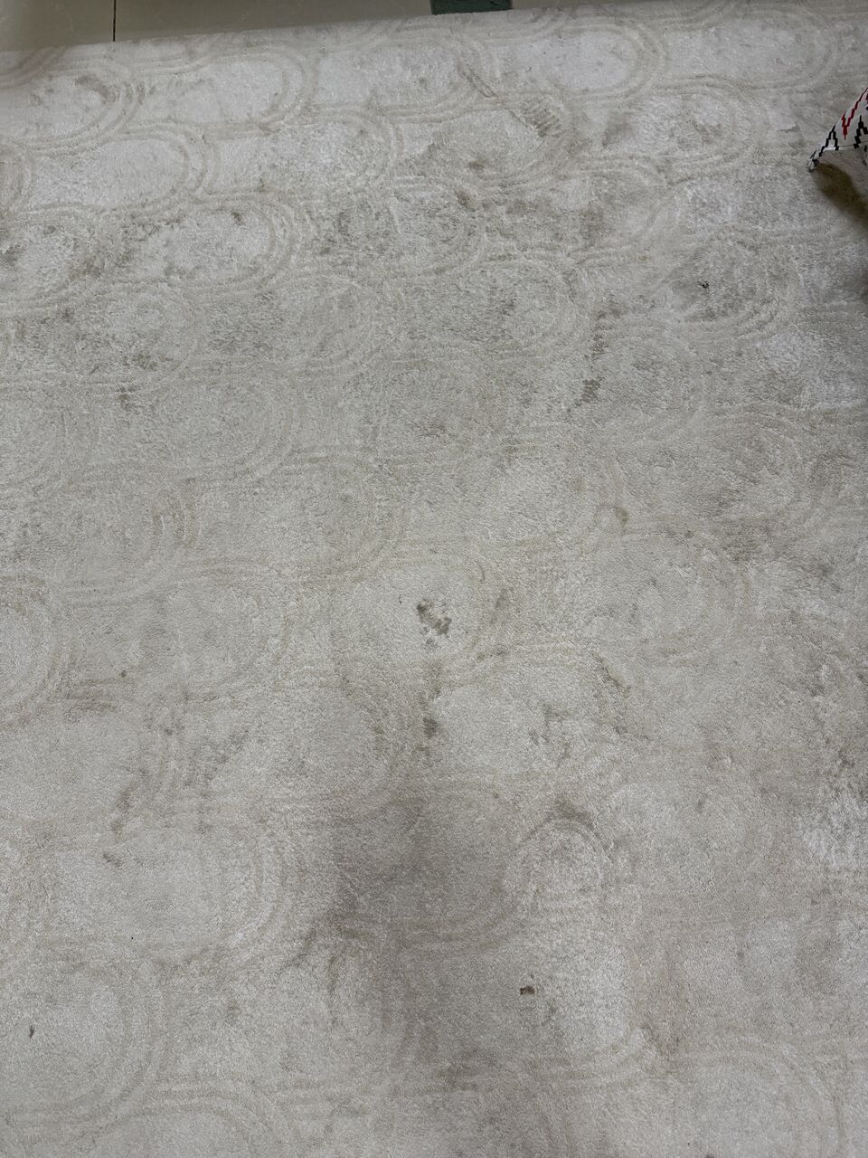 Olaya, Clothing & Accessories, SAR 60,  Carpet For Sale