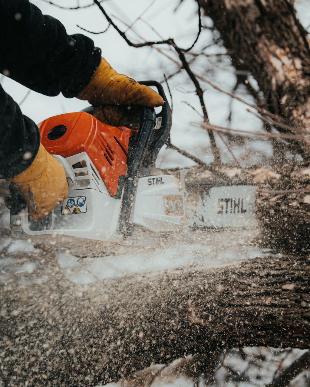 New York, Business, Statement Tree Care