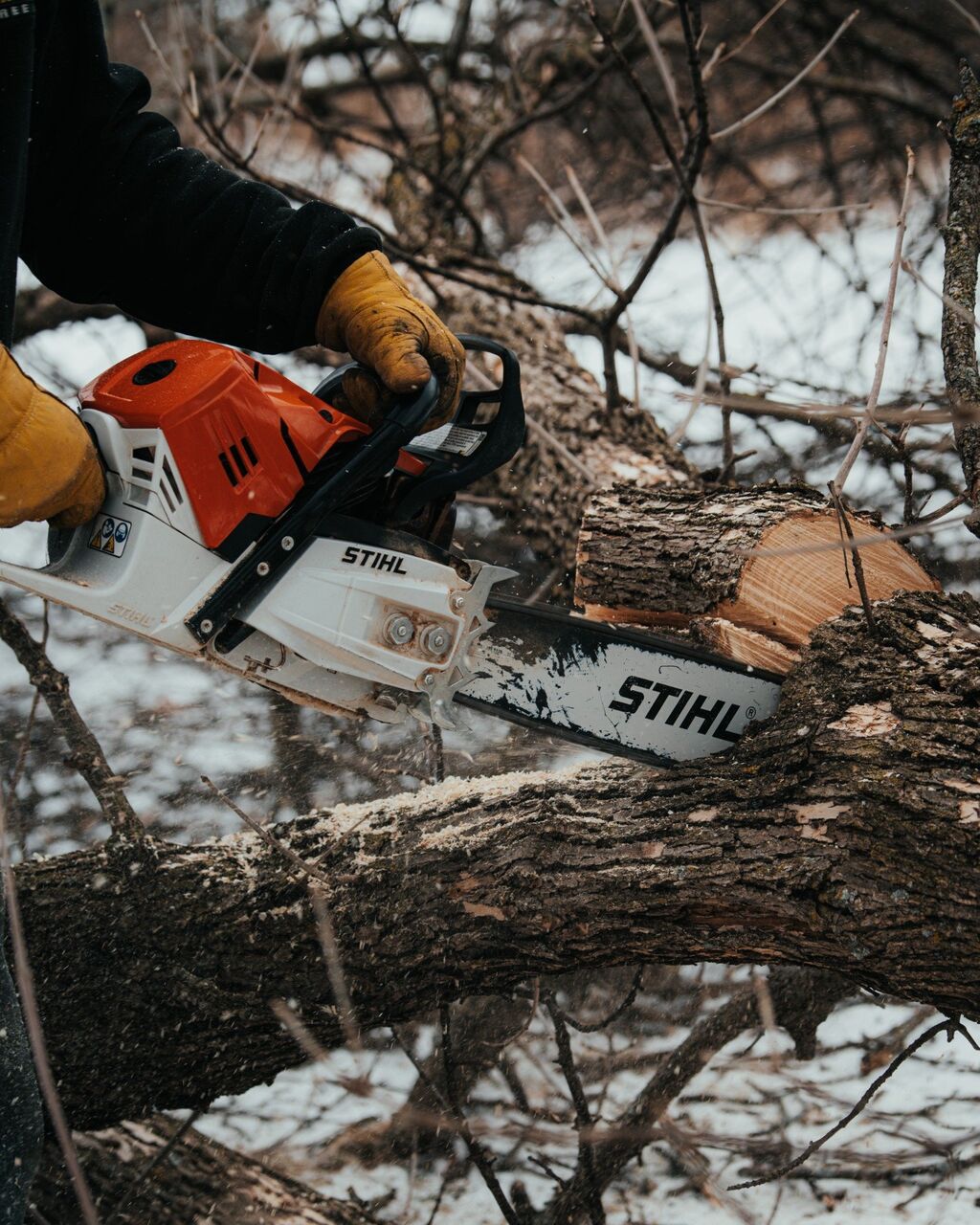New York, Business, Statement Tree Care