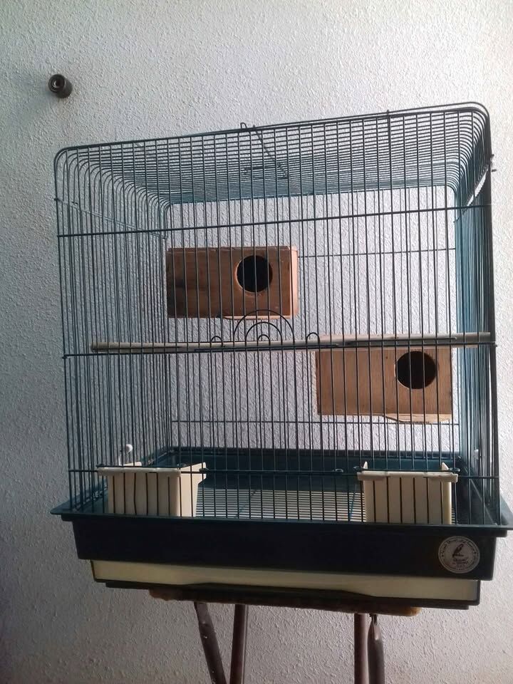 Riyadh, Pet Supplies, SAR 60,  Big Bird Cage For Sale