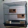 SAR 60,  Big Bird Cage For Sale