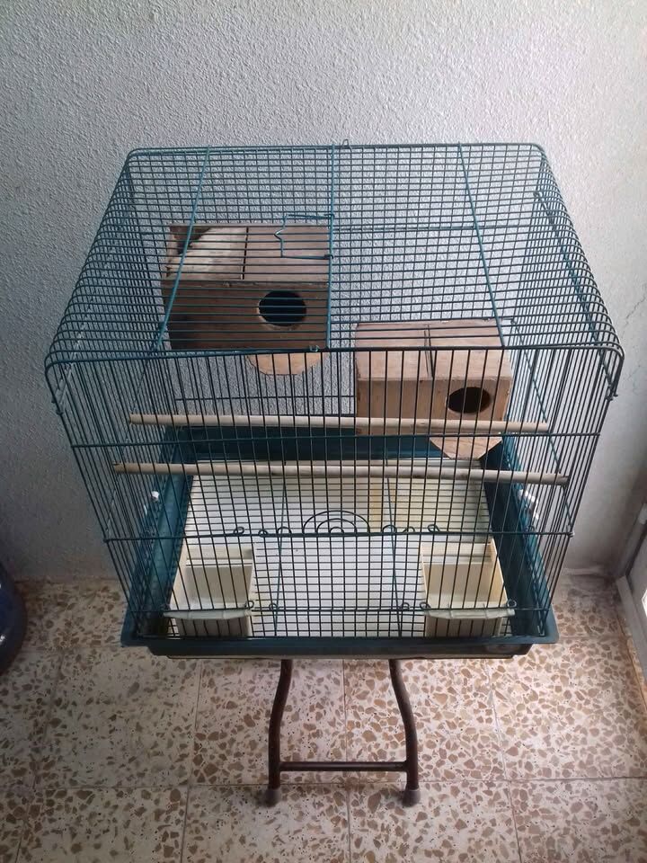Riyadh, Pet Supplies, SAR 60,  Big Bird Cage For Sale