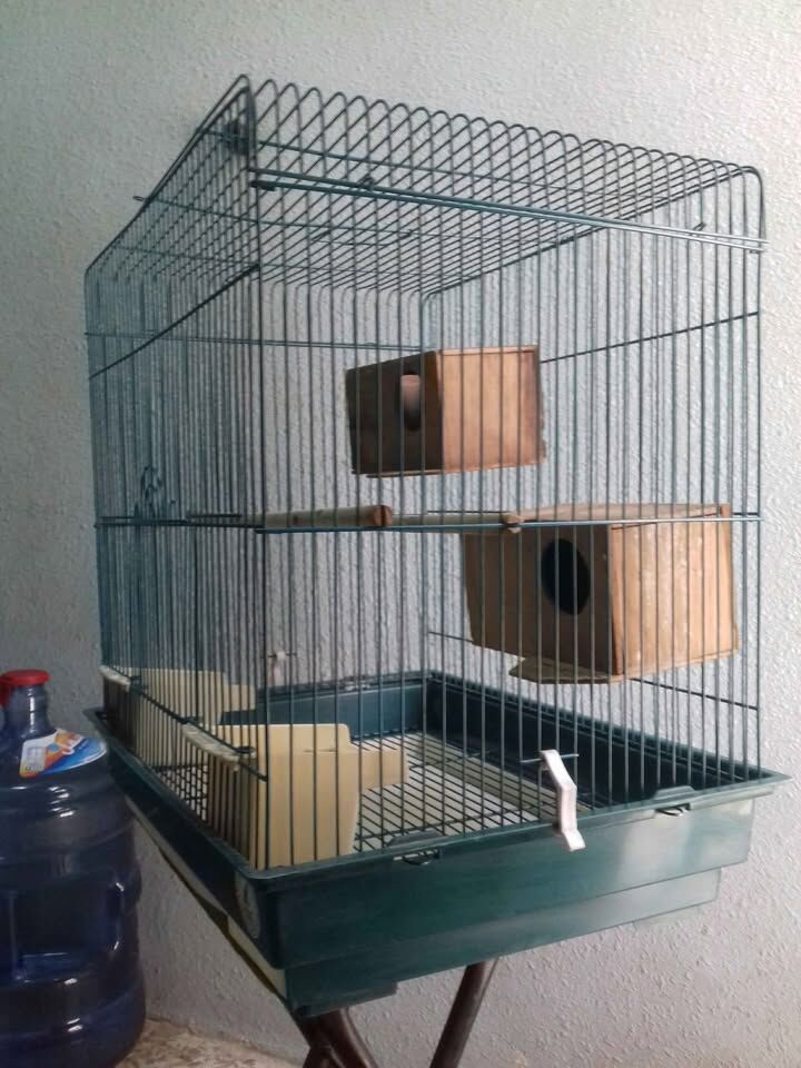 Riyadh, Pet Supplies, SAR 60,  Big Bird Cage For Sale