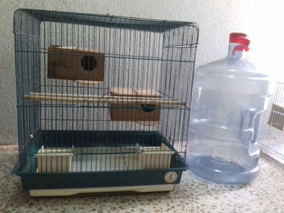 Riyadh, Pet Supplies, SAR 60,  Big Bird Cage For Sale