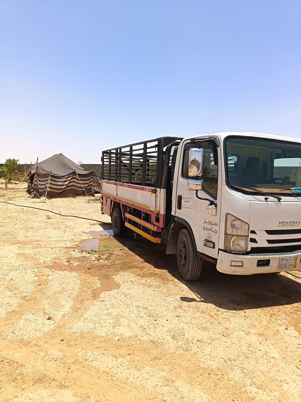 Riyadh, Cargo, Home Shifting