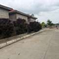 INR 28999,  250 Sq. Yard,  Secure Your Future With Hmda & Rera Approved Plots Near To Banglore Highway