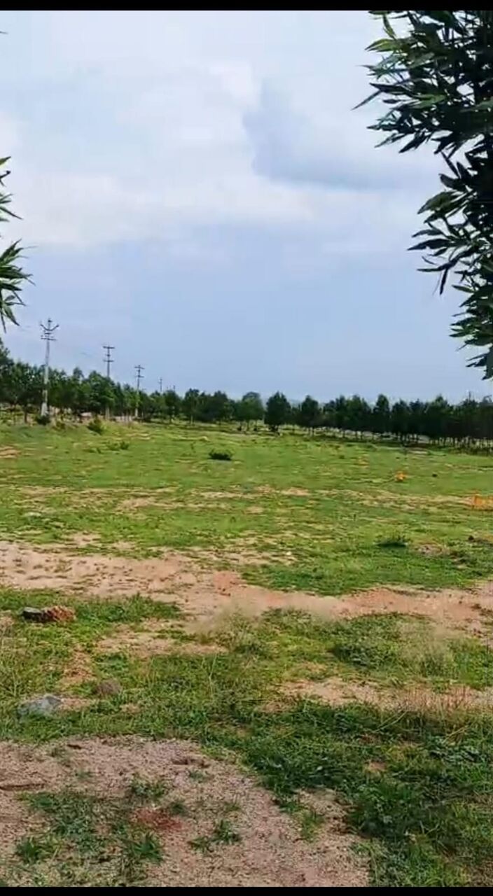 Hyderabad, Residential Plots, INR 12500,  183 Sq. Yard,  DTCP & RERA APPROVED OPEN PLOTS IN FUTURE CITY @ 9392311420
