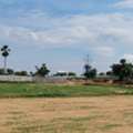 INR 35000,  167 Sq. Yard,  HMDA & RERA APPROVED Open Plots For Sale @ Adibatla