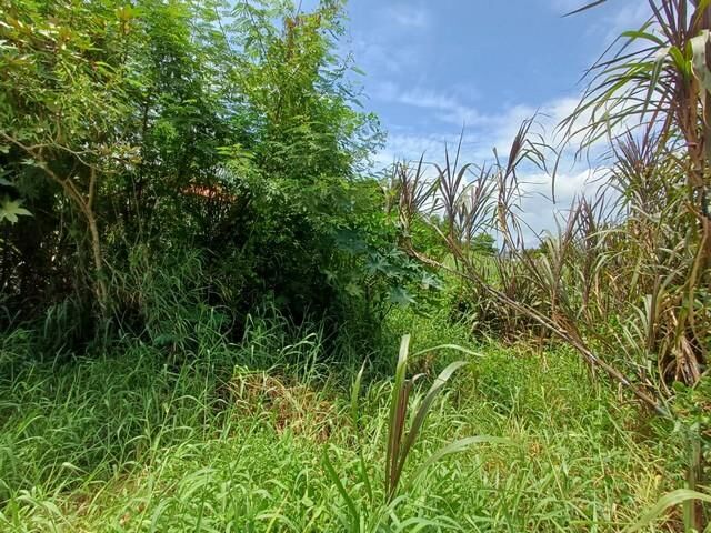 Bangkok, Real Estate For Sale, THB 8910000,  6 BR,  198 Sq. Feet,  Land For Sale, 198 Sq M, Sukhumvit Road 107, Soi Bearing 58, Intersection 6, Behind Saint