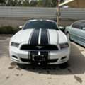 SAR 52000,  Ford Mustang,  2014,  Automatic,  268000 KM,   V6 Model 3.7 L