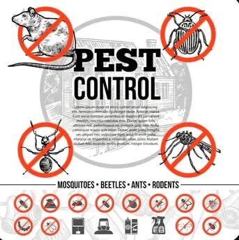 Riyadh, Construction, Pre-construction Termite Treatment Services Available
