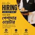 Bengali Professional Waiter