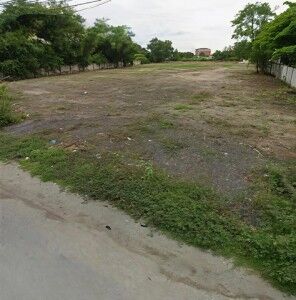 Bangkok, Real Estate For Sale, THB 12000000,  6 BR,  1336 Sq. Feet,  Land For Sale, Good Location, Next To Sukhumvit Road, Mueang Chonburi. Land For Sale, 3