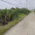 THB 2500000,  6 BR,  2051 Sq. Feet,  Land For Sale In Bang Pakong, Chachoengsao. Land For Sale, Area 5 Rai 51 Square Wa,