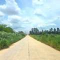 THB 3500000,  6 BR,  18823 Sq. Feet,  Land For Sale In Phang Muang, Sriracha, Chonburi. Beautiful Land For Sale, Purple Area,